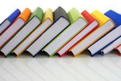 Curriculum - Sportmanagement (B.A.)